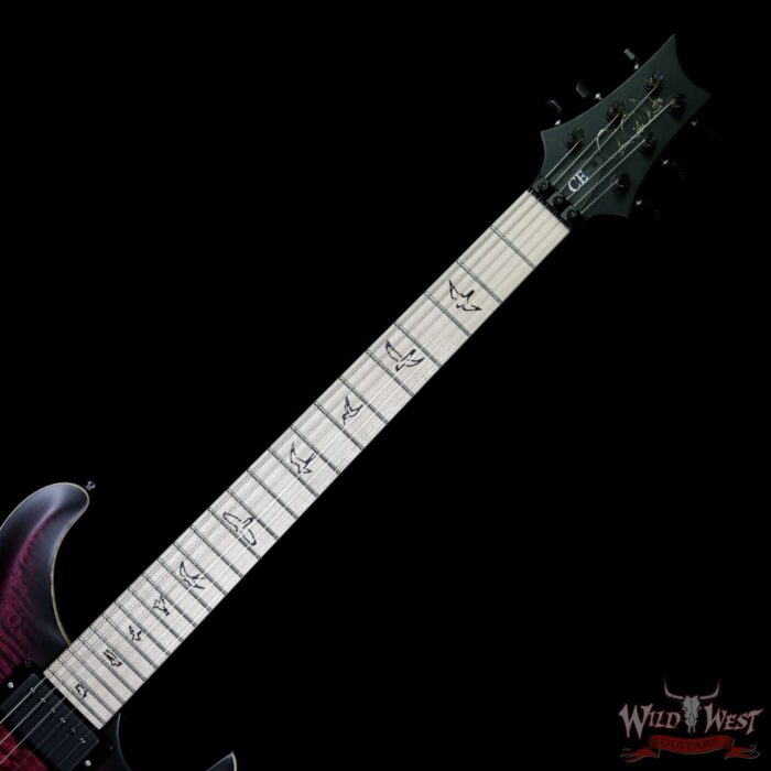 Paul Reed Smith PRS Dustie Waring Signature DW CE 24 Floyd Rose Limited Edition Waring Burst - Image 5