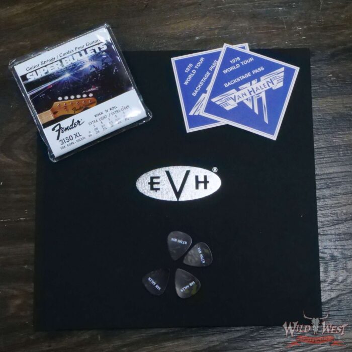 EVH Limited Edition ‘78 Eruption Relic Black & White Striped - Image 14