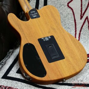 Fender FINNEAS Signature Acoustasonic Player Telecaster Rosewood Fingerboard Cappuccino Fade 5.00 LBS with Deluxe Gig Bag - Image 9