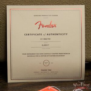 Fender USA Eric Johnson Signature Stratocaster Thinline Semi-Hollow Body 2 Tone Sunburst - Image 9