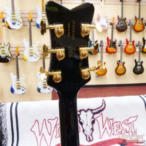 Gretsch G6134TG Limited Edition Paisley Penguin with String-Thru Bigsby Ebony Fingerboard Black Paisley - Image 10