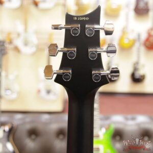 Paul Reed Smith PRS WWG Special Run CE 24 Flame Maple Top 57/08 Pickups Faded Gray Black Cherry Burst 250910 - Image 12