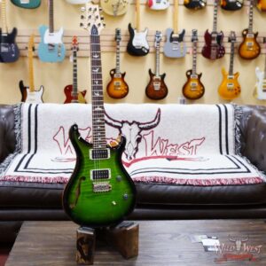 Paul Reed Smith PRS Bolt-On CE 24 Semi-Hollow Eriza Verde Smokeburst - Image 6