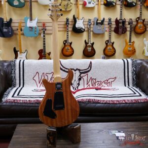 Paul Reed Smith PRS Bolt-On CE 24 Semi-Hollow Eriza Verde Smokeburst - Image 9