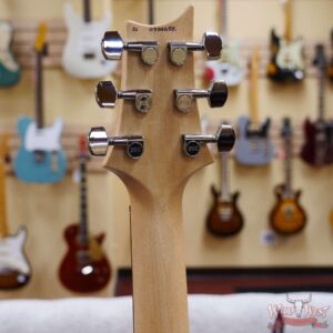 Paul Reed Smith PRS Bolt-On CE 24 Semi-Hollow Eriza Verde Smokeburst - Image 10