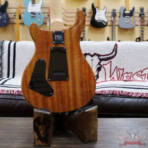 Paul Reed Smith PRS Bolt-On CE 24 Semi-Hollow Eriza Verde Smokeburst - Image 11