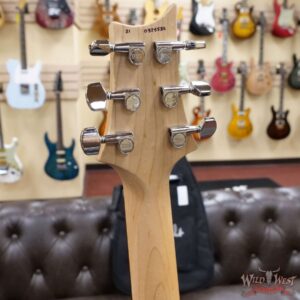 Paul Reed Smith PRS CE 24 Semi-Hollow Eriza Verde Burst - Image 11