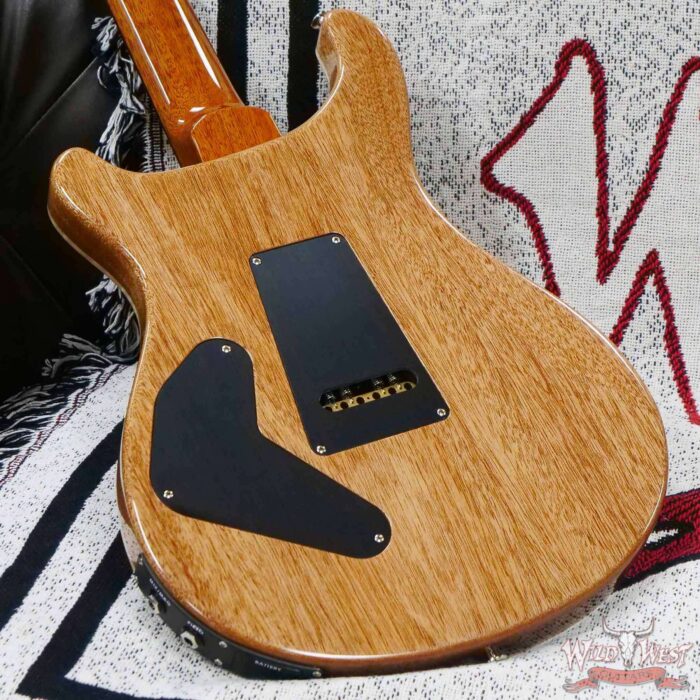 Paul Reed Smith PRS Core Series Custom 24 Piezo Rosewood Fingerboard Purple Iris Natural Back - Image 11