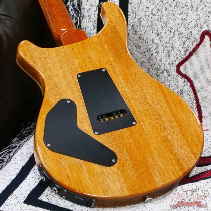 Paul Reed Smith PRS Core Series Custom 24 Piezo Rosewood Fingerboard Aquamarine Natural Back - Image 11