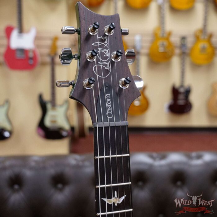 PRS Core Custom 24 Piezo P24 w/ Pattern Thin Neck Trampas Green Wrap Burst - Image 6