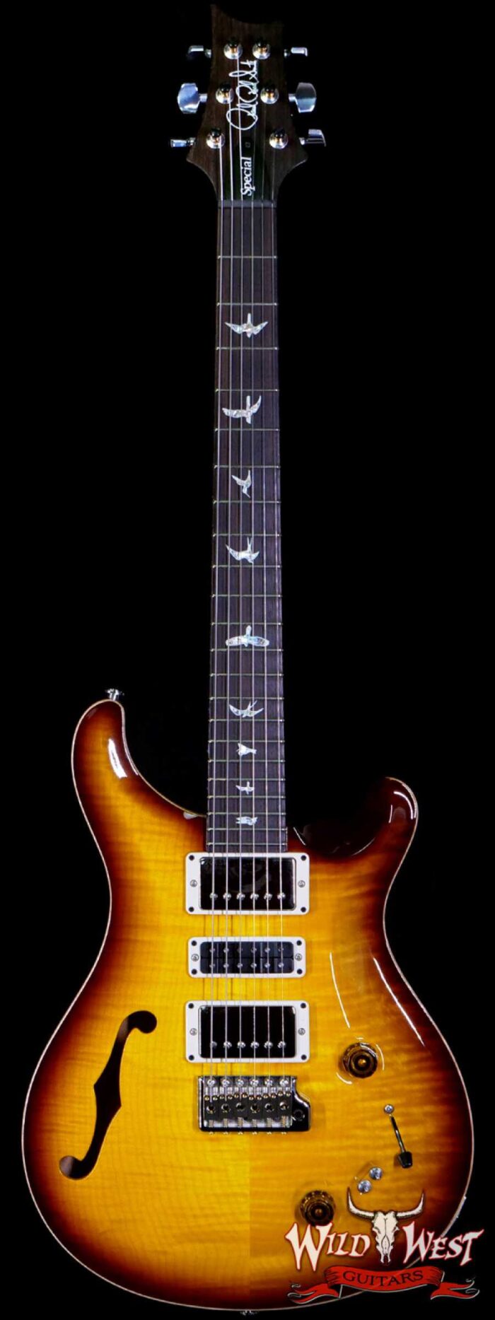 PRS Semi-Hollow Limited Edition Special 22 Rosewood Fingerboard McCarty Tobacco Burst - Image 1
