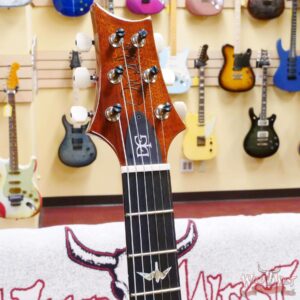 Paul Reed Smith PRS Core Series DGT David Grissom Trem Aquamarine - Image 7