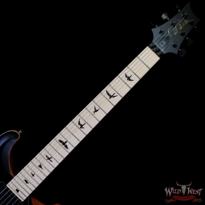 Paul Reed Smith PRS Bolt-On Series Dustie Waring Signature CE 24 Floyd FR Maple Board Black Top - Image 4