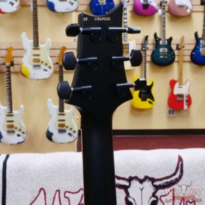 Paul Reed Smith PRS Bolt-On Series Dustie Waring Signature CE 24 Floyd FR Maple Board Black Top - Image 9