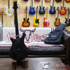 Paul Reed Smith PRS Bolt-On Series Dustie Waring Signature CE 24 Floyd FR Maple Board Burnt Amber Smokeburst - Image 8