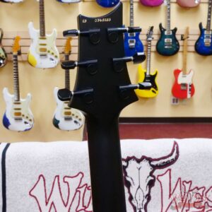 Paul Reed Smith PRS Bolt-On Series Dustie Waring Signature CE 24 Floyd FR Maple Board Burnt Amber Smokeburst - Image 9