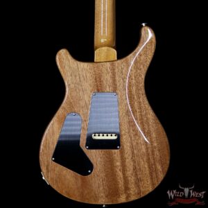 PRS 2018 Experience Custom 24 Flame Top East Indian Rosewood Board Trampas Green Smokewrap - Image 7