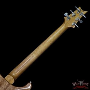 PRS 2018 Experience Custom 24 Flame Top East Indian Rosewood Board Trampas Green Smokewrap - Image 12