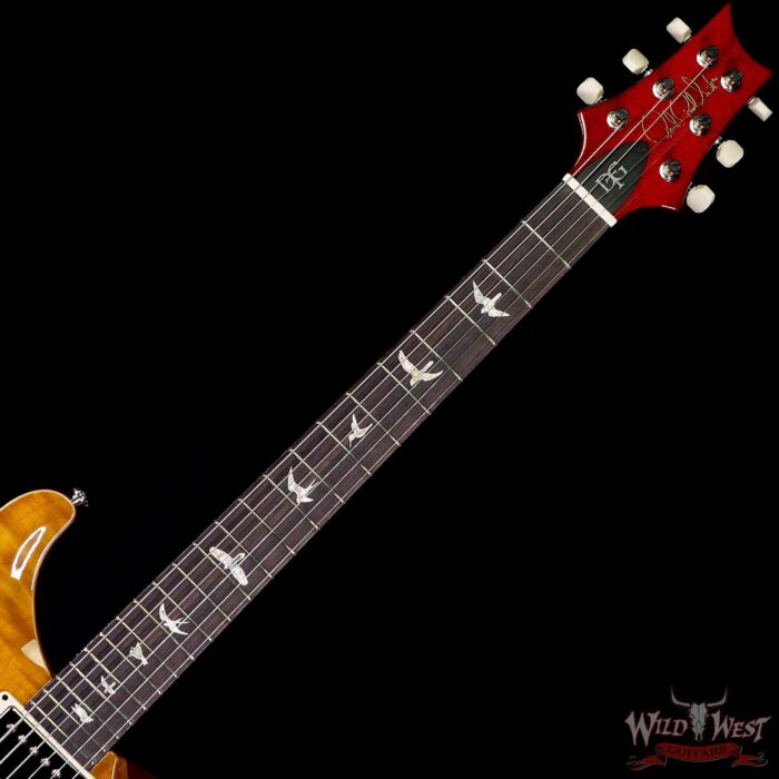 Paul Reed Smith PRS Core DGT Birds Inlay David Grissom Trem McCarty Sunburst - Image 4