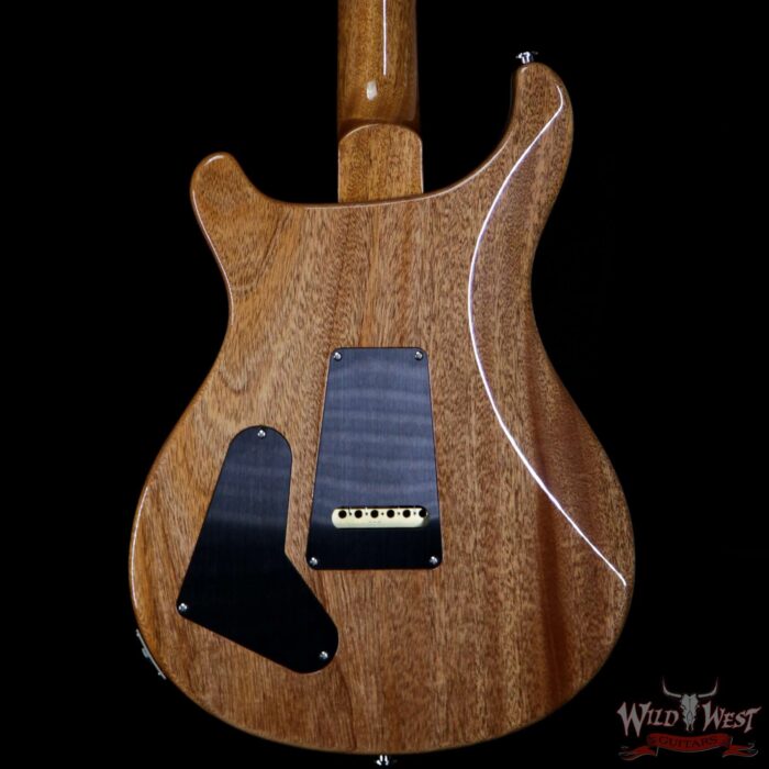 Paul Reed Smith PRS Limited Edition Special 22 Semi-Hollow Rosewood Fingerboard Santana Yellow - Image 6