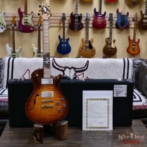 Paul Reed Smith PRS Private Stock #11878 McCarty 594 Singlecut Semi-Hollow Winter Egrets Inlays 6.90 LBS - Image 6