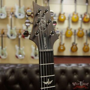 Paul Reed Smith PRS Custom 24 Piezo P24 Flame Maple Top Rosewood Fingerboard Bonnie Pink - Image 7