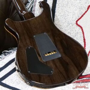 Paul Reed Smith PRS Private Stock PS#10083 Limited Edition Special Semi-Hollow Black Limba Back & Neck Ziricote Board Citrus Glow - Image 11