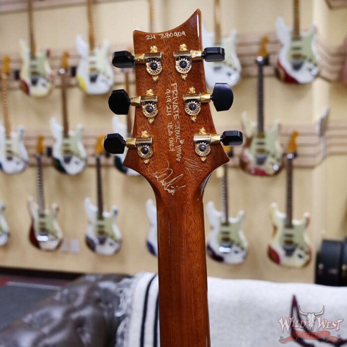 Paul Reed Smith PRS Private Stock # 11066 Singlecut Archtop II Brazilian Rosewood Fingerboard with Tree of Life Inlays Indian Ocean Sunset 5.65 LBS - Image 11