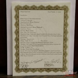 PRS Private Stock #8126 Semi-Hollow Custom 24 Stoptail Special Pickup Set - Image 15