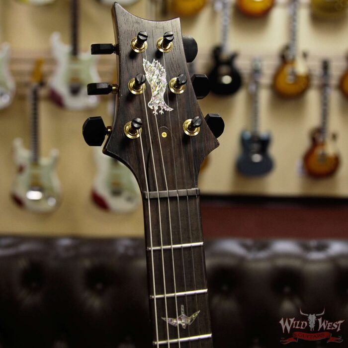 PRS Private Stock #8135 Custom 24 Stoptail Burl Maple Top Brazilian Rosewood Board Aqua Violet - Image 7