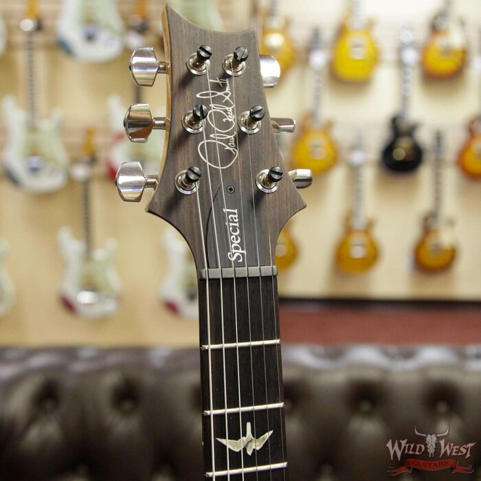 PRS Semi-Hollow Limited Edition Special 22 Rosewood Fingerboard Aquamarine - Image 7
