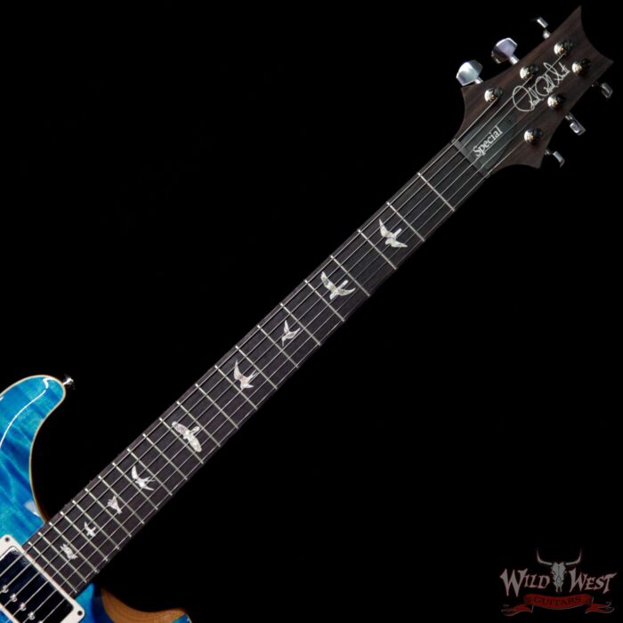 PRS Semi-Hollow Limited Edition Special 22 Rosewood Fingerboard Aquamarine - Image 8