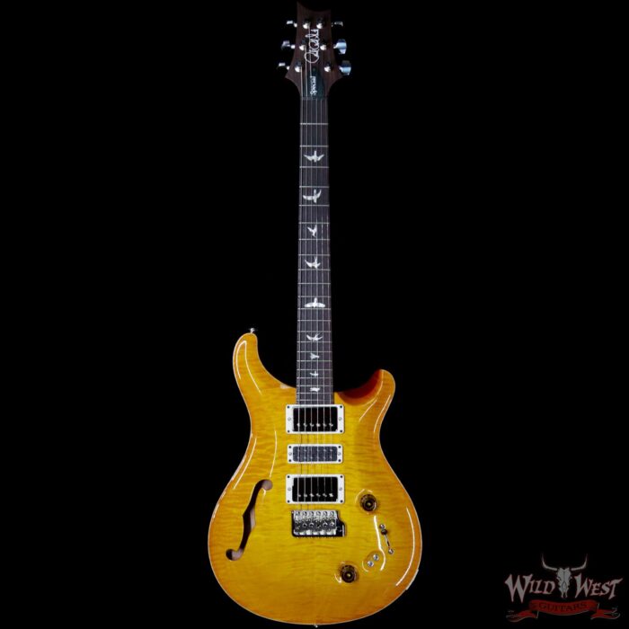 PRS Semi-Hollow Limited Edition Special 22 Rosewood Fingerboard McCarty Sunburst - Image 3