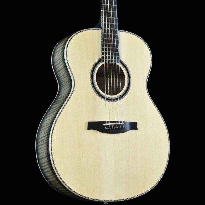 PRS Private Stock Acoustic Tonare Grand Green Nightshade Smoked Burst Maple, Back and Neck - Image 3
