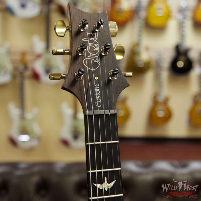 PRS Wood Library Artist Package Quilt Top Custom 24 Piezo P24 Brazilian Rosewood Board Grey Black Fade - Image 5