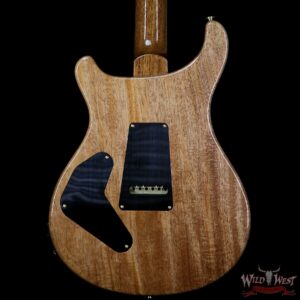 PRS Wood Library Artist Package Quilt Top Custom 24 Piezo P24 Brazilian Rosewood Board Faded Whale Blue - Image 6