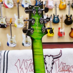 Paul Reed Smith PRS Wood Library 10 Top Custom 24 Floyd Rose Brazilian Rosewood Fingerboard Stained Flame Maple Neck Eriza Verde Smokeburst - Image 10