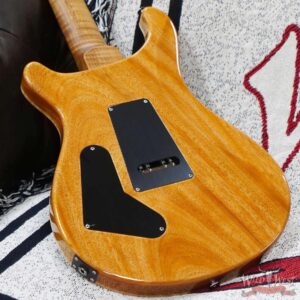 Paul Reed Smith PRS Wood Library 10 Top Custom 24 Floyd Rose Ebony Fingerboard Roasted Flame Maple Neck Eriza Verde - Image 11