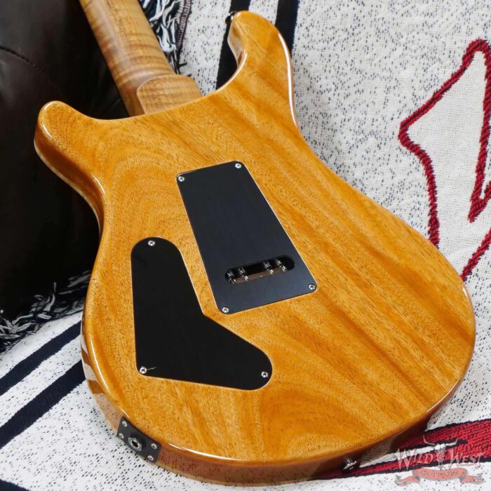 Paul Reed Smith PRS Wood Library 10 Top Custom 24 Floyd Rose Ebony Fingerboard Roasted Flame Maple Neck Eriza Verde - Image 11