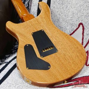Paul Reed Smith PRS Wood Library 10 Top Custom 24-08 Brazilian Rosewood Board Green Fade - Image 11