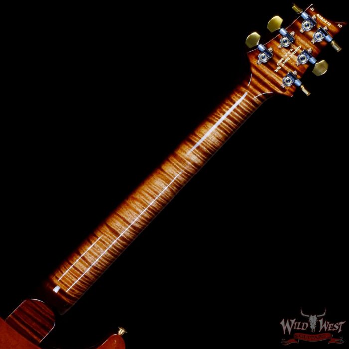 Paul Reed Smith Wood Library 10 Top Hollowbody I Piezo Flame Neck Brazilian Rosewood Board Copperhead - Image 5
