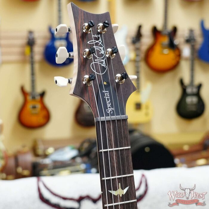 Paul Reed Smith PRS Wood Library 10 Top Special 22 Semi-Hollow Flame Maple Neck Brazilian Rosewood Fingerboard Blue Fade 6.95 LBS (US Only / No International Shipping) - Image 7