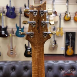 PRS Wood Library 10 Top Special 22 Semi-Hollow Flame Mahogany Neck Brazilian Rosewood Board Trampas Green Smokeburst - Image 10
