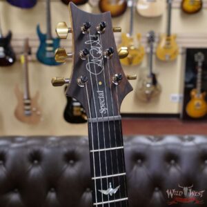 PRS Wood Library 10 Top Special 22 Semi-Hollow Flame Mahogany Neck Brazilian Rosewood Board Trampas Green Smokeburst - Image 7