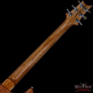 PRS Wood Library 10 Top Special 22 Semi-Hollow Flame Mahogany Neck Brazilian Rosewood Board Trampas Green Smokeburst - Image 5