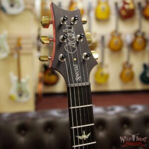 PRS Wood Library Flame 10 Top Limited Edition Special 22 Semi-Hollow Flame Maple Neck Brazilian Rosewood Board Bonnie Pink - Image 8