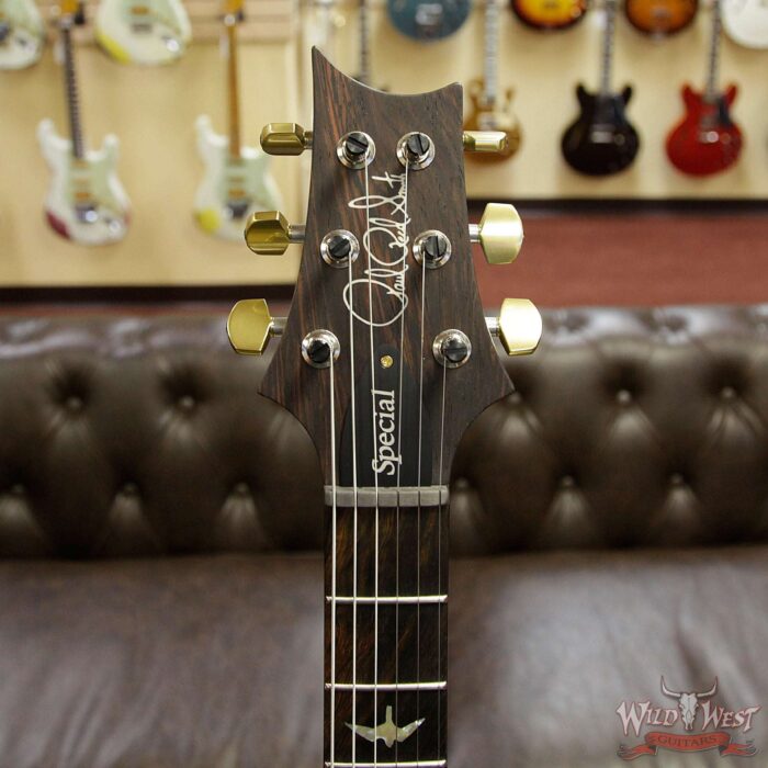 PRS Wood Library Flame 10 Top Special 22 Semi-Hollow Brazilian Rosewood Board Trampas Green - Image 15