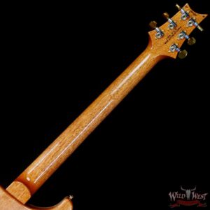 Paul Reed Smith PRS Wood Library 10 Top Quilt Custom 24 Brazilian Rosewood Fingerboard Blue Fade - Image 5