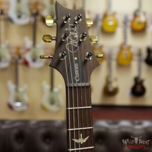 PRS Wood Library 10 Top Custom 24 Quilt Top Brazilian Rosewood Board Violet Smokeburst - Image 5
