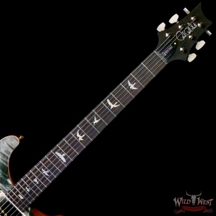 Paul Reed Smith PRS Wood Library 10 Top Special 22 Semi-Hollow Flame Maple Neck Brazilian Rosewood Fingerboard Trampas Green 7.25 LBS (US Only / No International Shipping) - Image 4